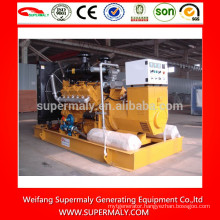 10kw -1000kw biogas generator with competitive price